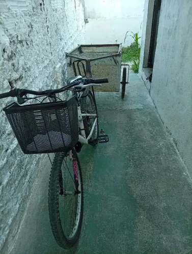 Carrocinha para bicicleta