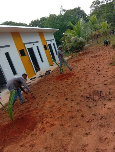 Quer ver seu jardim verde com uma grama excelente,venha nos conhecer!!!