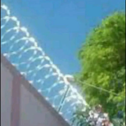 Proteja sua Casa Hoje | Concertina Contra Invasão RJ