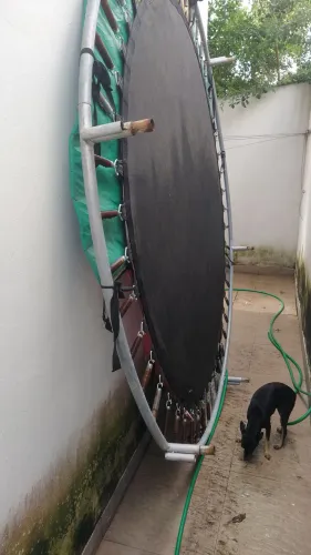 Cama elástica pula pula