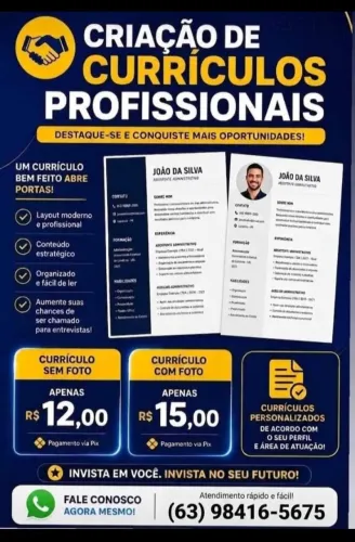 CURRÍCULO PROFISSIONAL