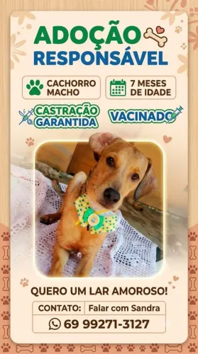 Disponível pra doação responsável.