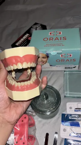Manequim dentistica