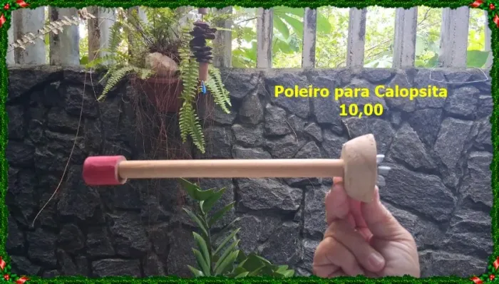 Brinquedos para Calopsitas e Periquitos