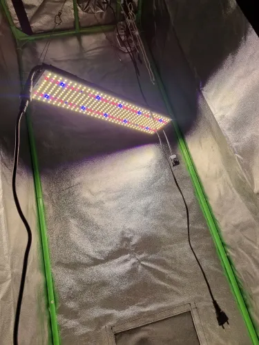 LED 240w LM301H samsung 3000k 660nm