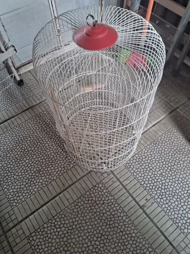 vendo um gaiola