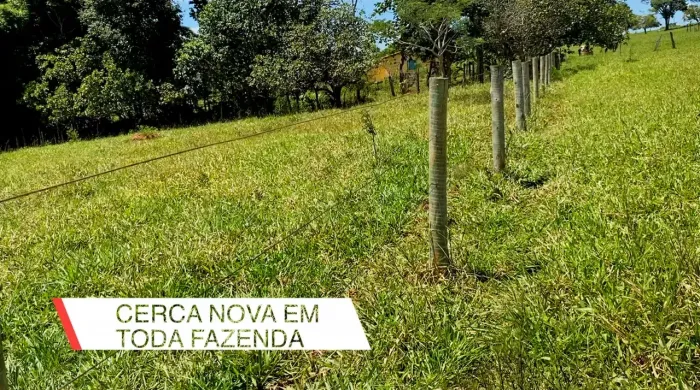 Imóvel para venda com 3 metros quadrados em Setor Central - Araçu - GO