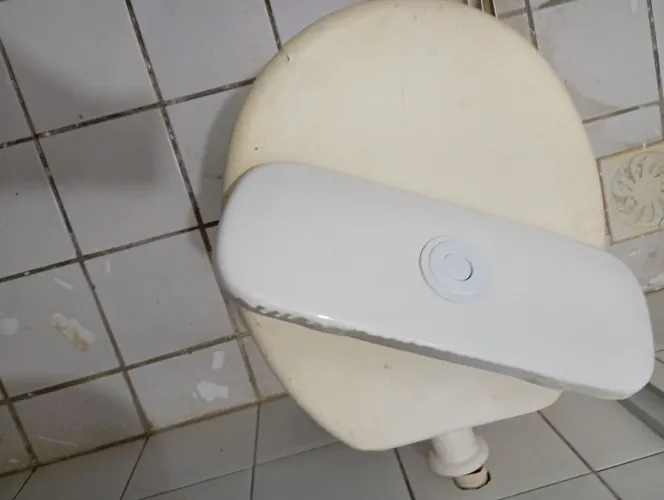 Tampa pra Vaso sanitário