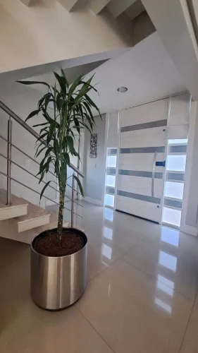 Vaso cachepô com planta