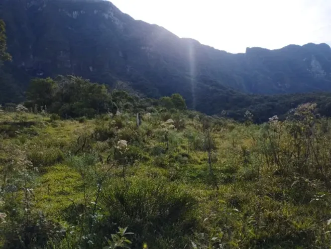  Oportunidade ESG: Fazenda Mata Nativa na Serra Catarinense (Serra Furada), 2.000.000,00m²