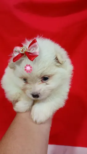 Que linda princesa ?
