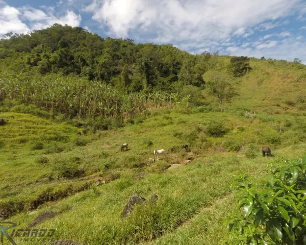 Fazenda à venda com 43 alqueires, Iguape - Guarapari ES
