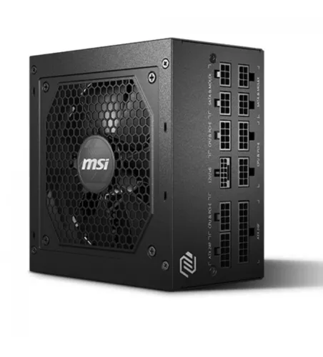 Fonte MSI