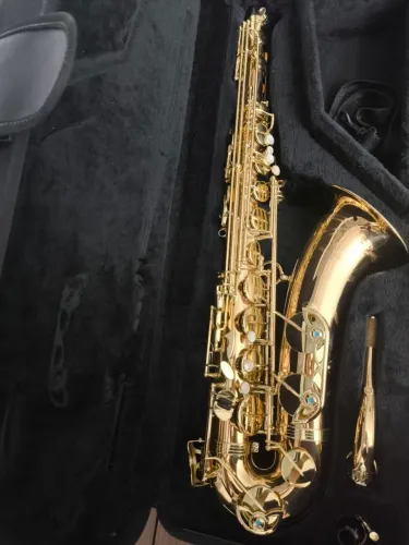 Sax Tenor Yanagisawa wo2