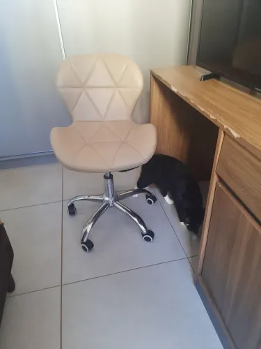 Cadeira escritório rodinhas e mesa escrivaninha 