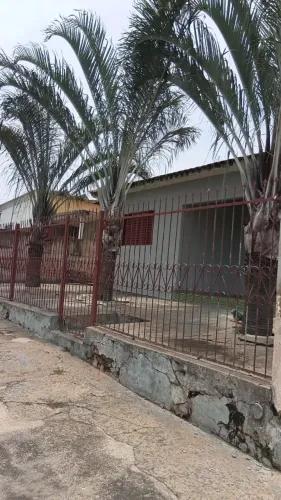 Paineira triangular
