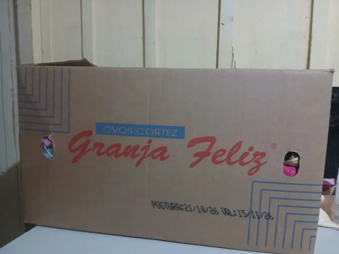 Lote de Roupas de Brechó