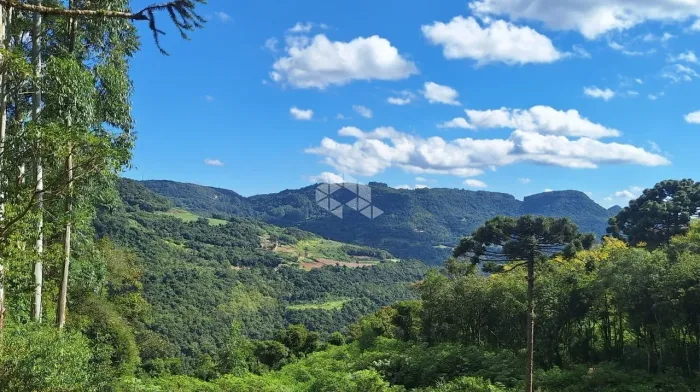 Chácara na Serra Gaúcha, 6 hectares com vista panorâmica