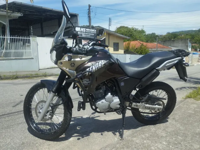 Ténéré 250 Blueflex filé