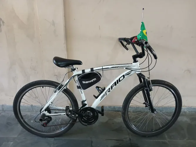 BICICLETA RAIO ARO 26