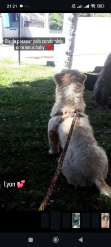 Lhasa