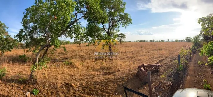 Fazenda, 20 alqueires - Zona Rural - Aparecida do Rio Negro/TO