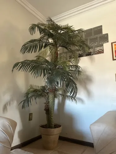Planta artificial