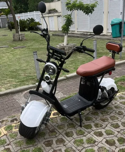 Moto elétrica x11 1000w