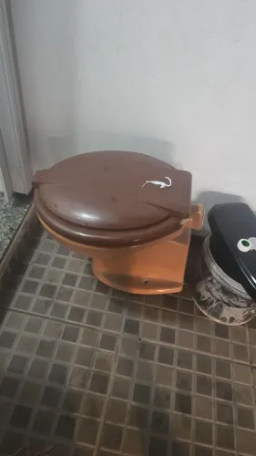 Vaso Sanitário marrom