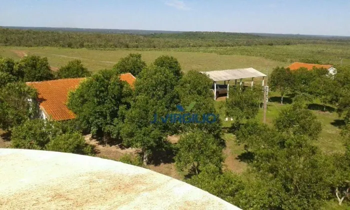 Fazenda Soja