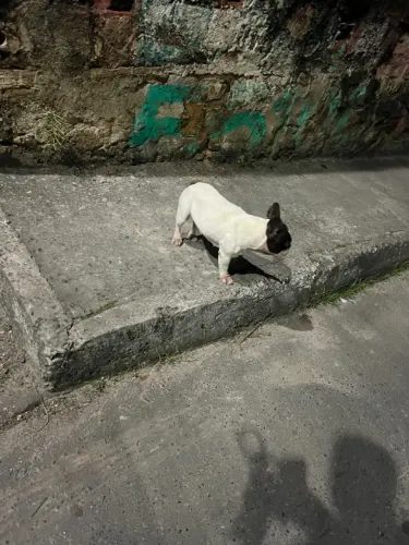 Doação