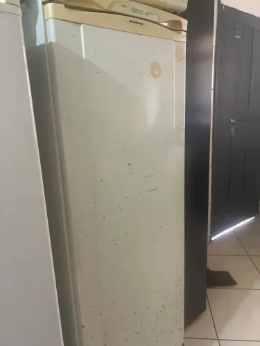 Geladeira Continental espaçosa