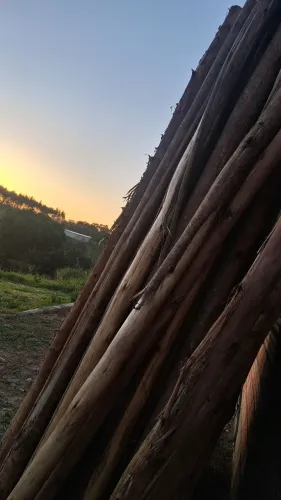 Pontaletes de eucalipto