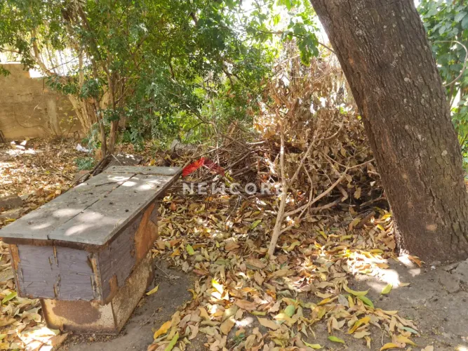 Lote em Rua São João da Vereda - Santa Branca - Belo Horizonte/MG