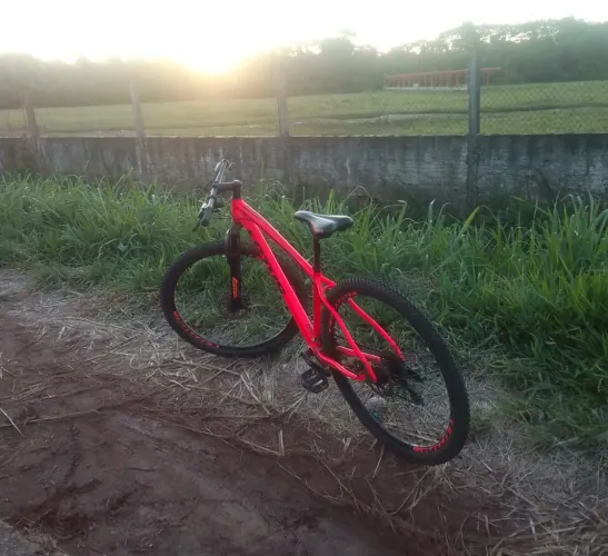 Bicicleta