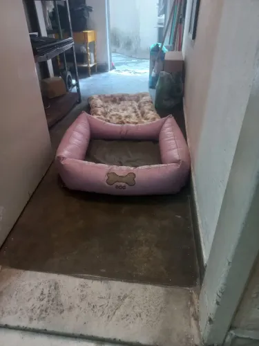 Camas pet em excelente estado