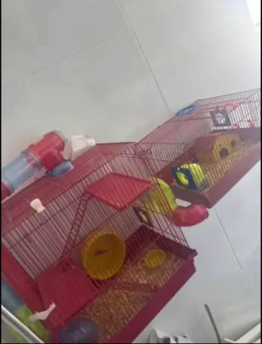 Casa do hamster