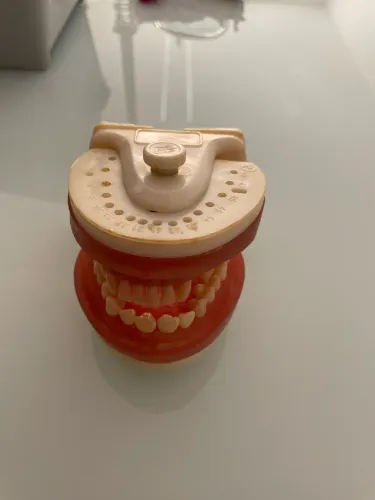 Manequim de dentista