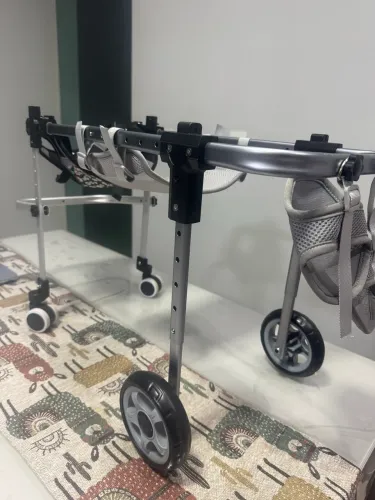 Cadeira de rodas para Pet