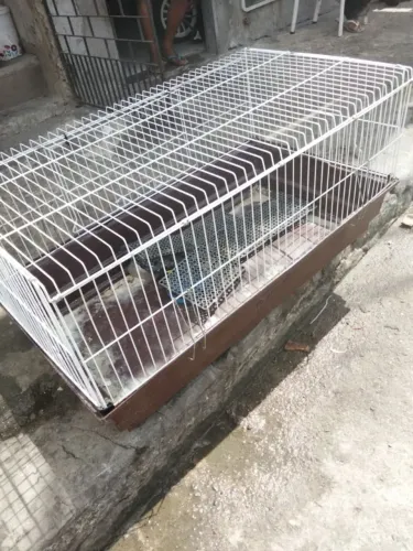 Gaiola para hamister