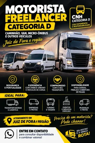 Motorista categoria D