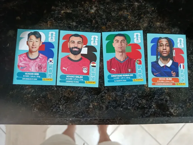 Vendo álbum, figurinhas extra e figurinhas repetidas!