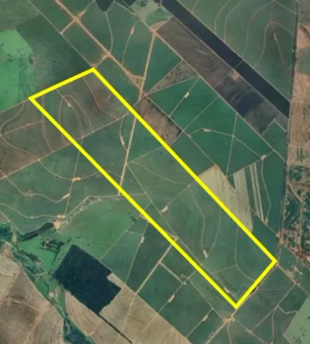 Fazenda de cana na beira do asfalto próximo a Paranavaí.