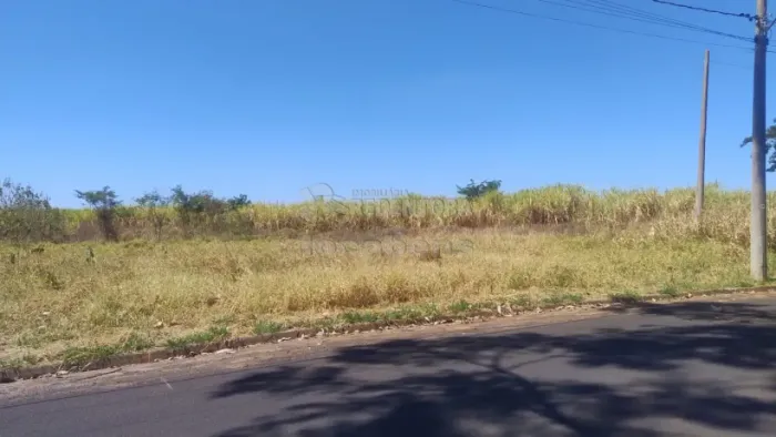 Venda Terreno Distrito Industrial Cedral SP
