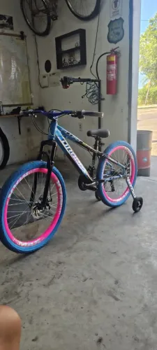 Bicicleta