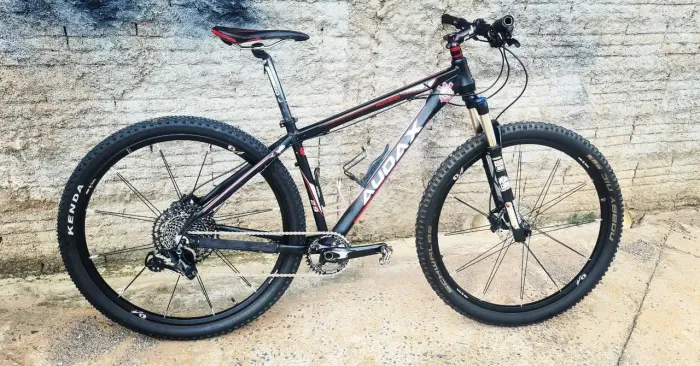 Mountainbike Audax 29