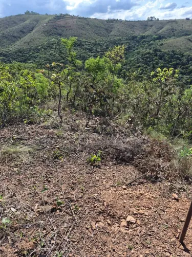 ? TERRENO / CHÁCARA EM ZONA RURAL - APROX. 10.000 m²