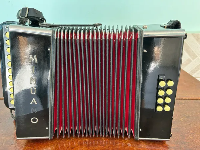 Acordeon Minuano 8 baixos
