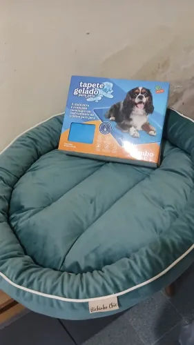 Cama M + Tapete Gelado