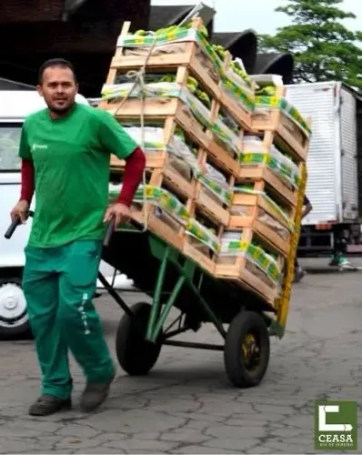 Empresa contrata carregador de mercadoria!